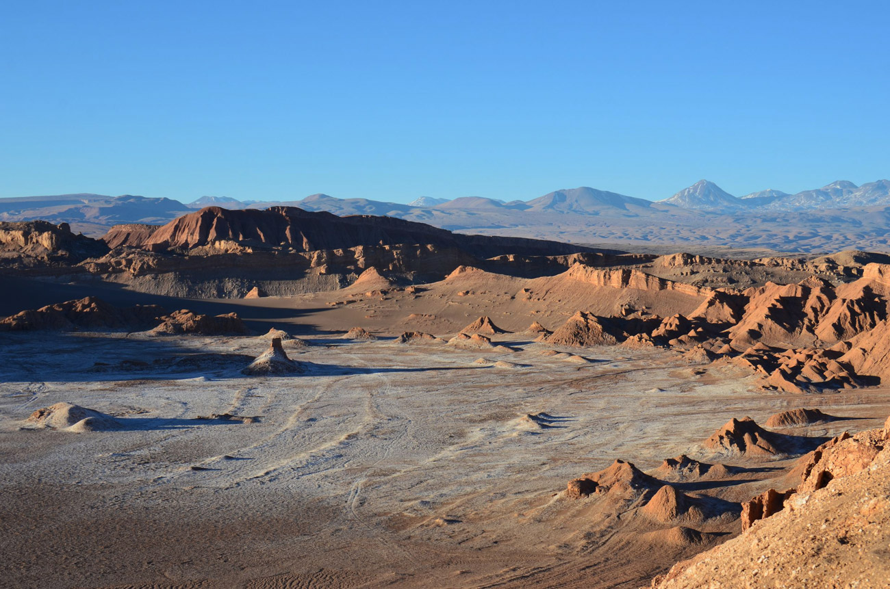 Atacama Bralette – SIR.