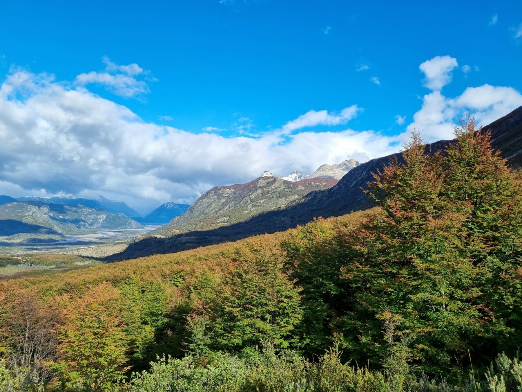 Nature - Ecoargentina - Tailor-made tours ‎