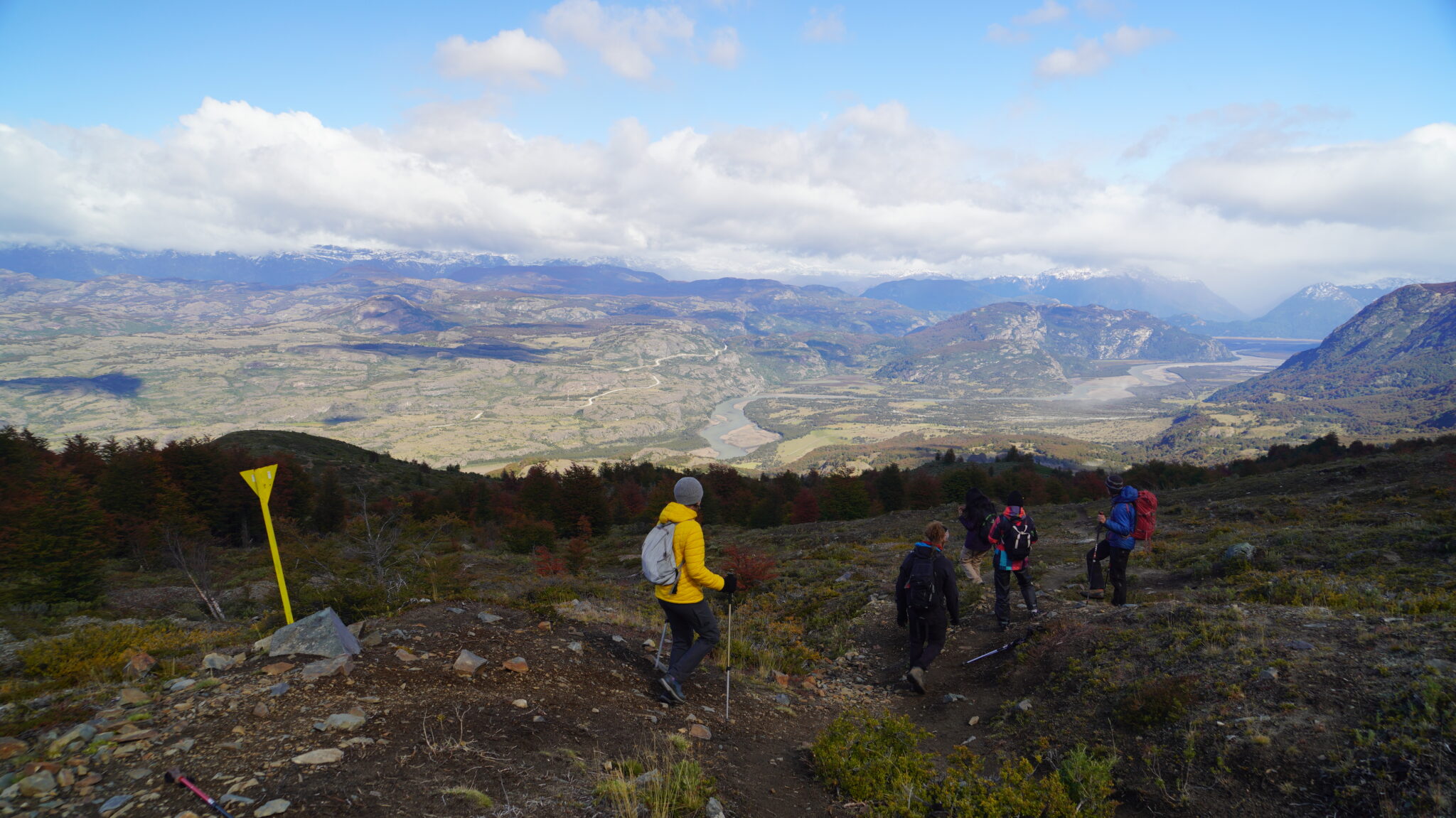 Calcetines altos de montaña y trekking 2 pares Adulto Quechua Hike 50