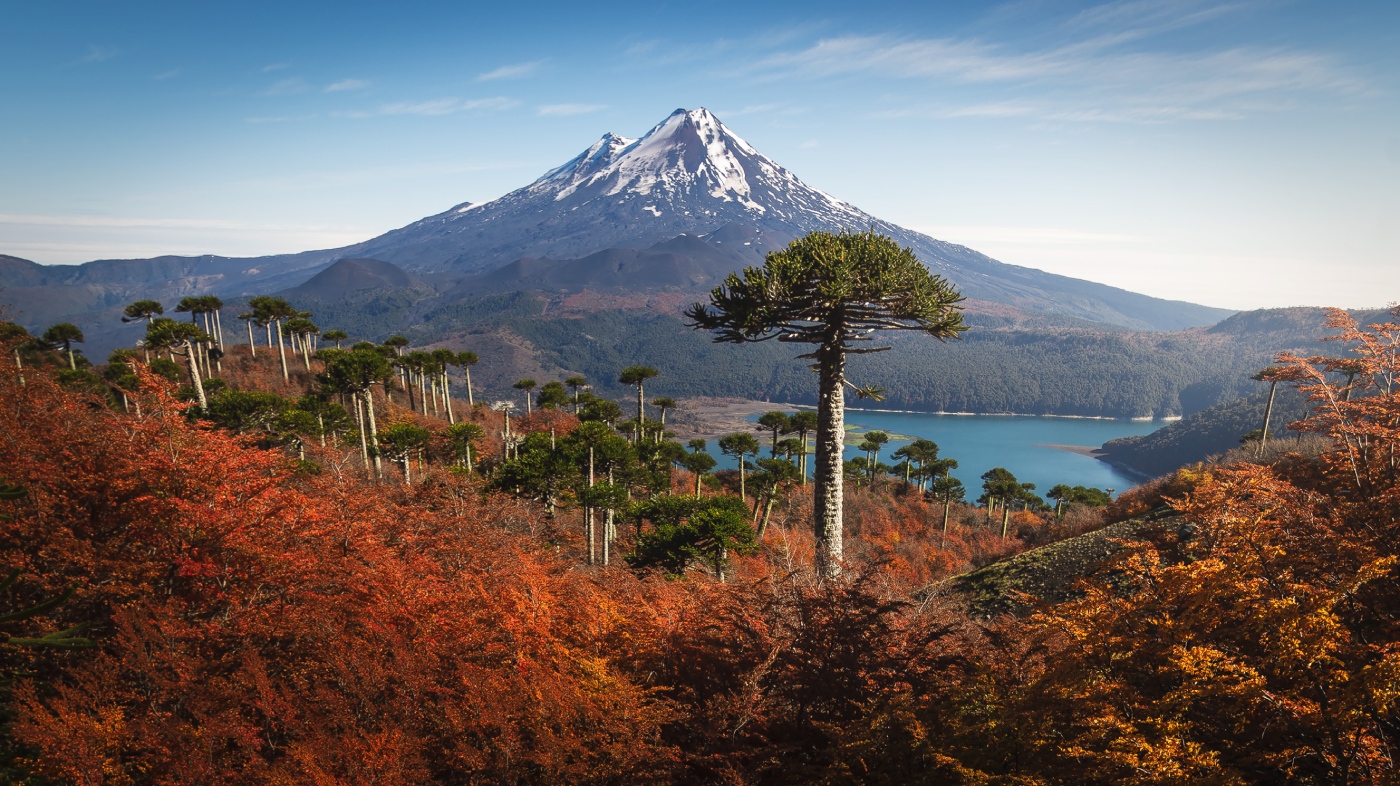 Conguillio National Park