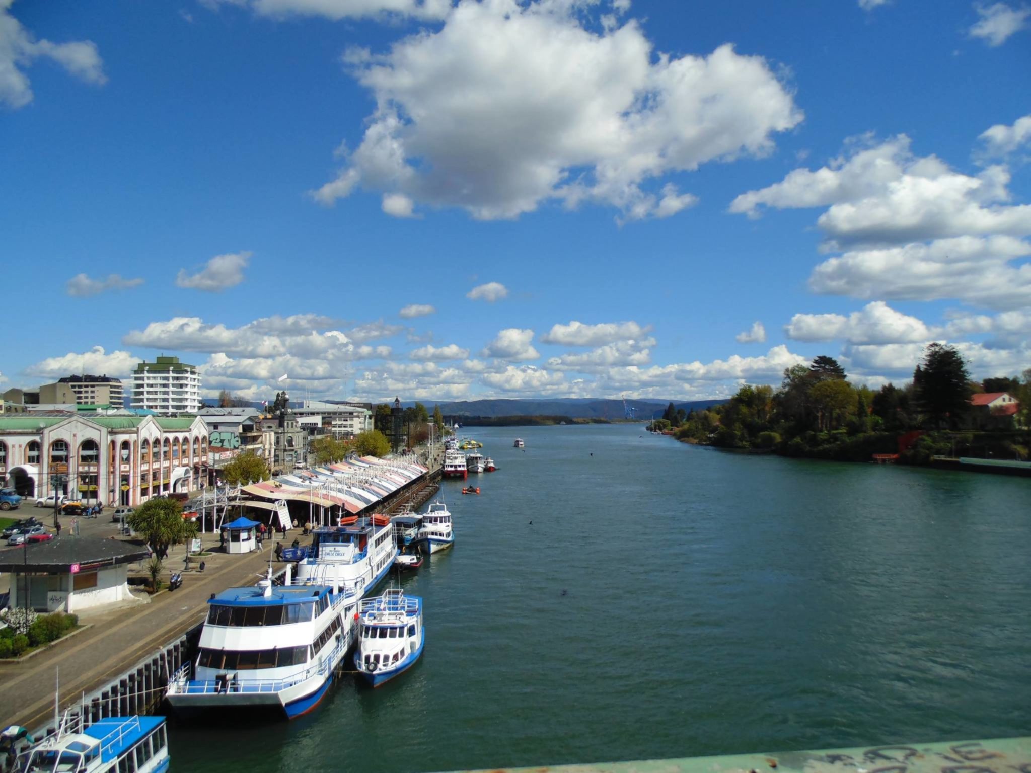 valdivia market