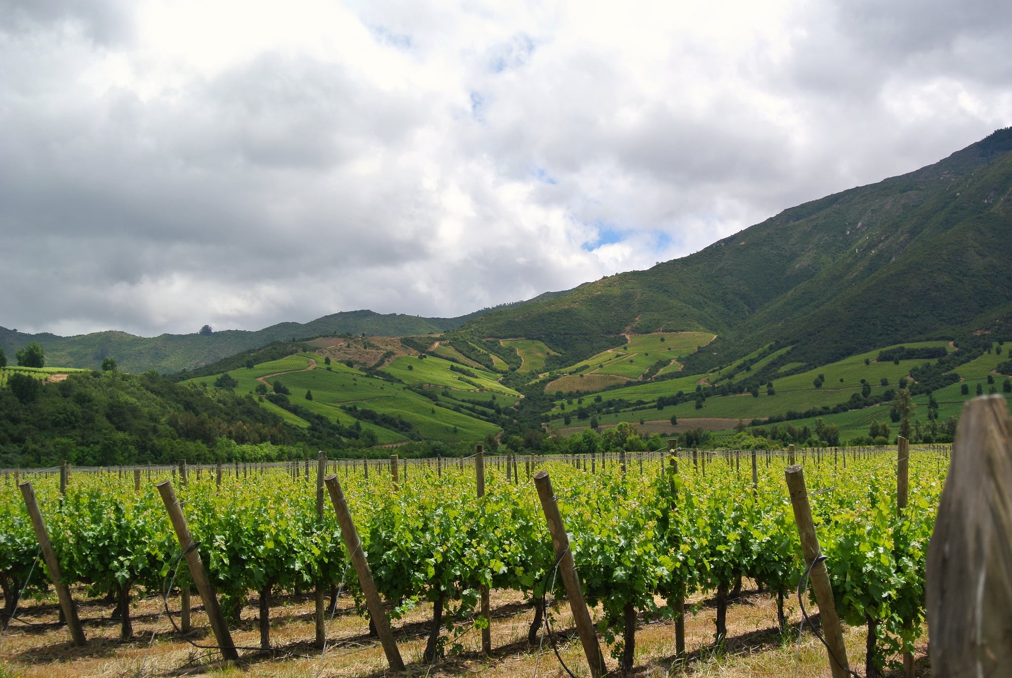 colchagua valley wine tour