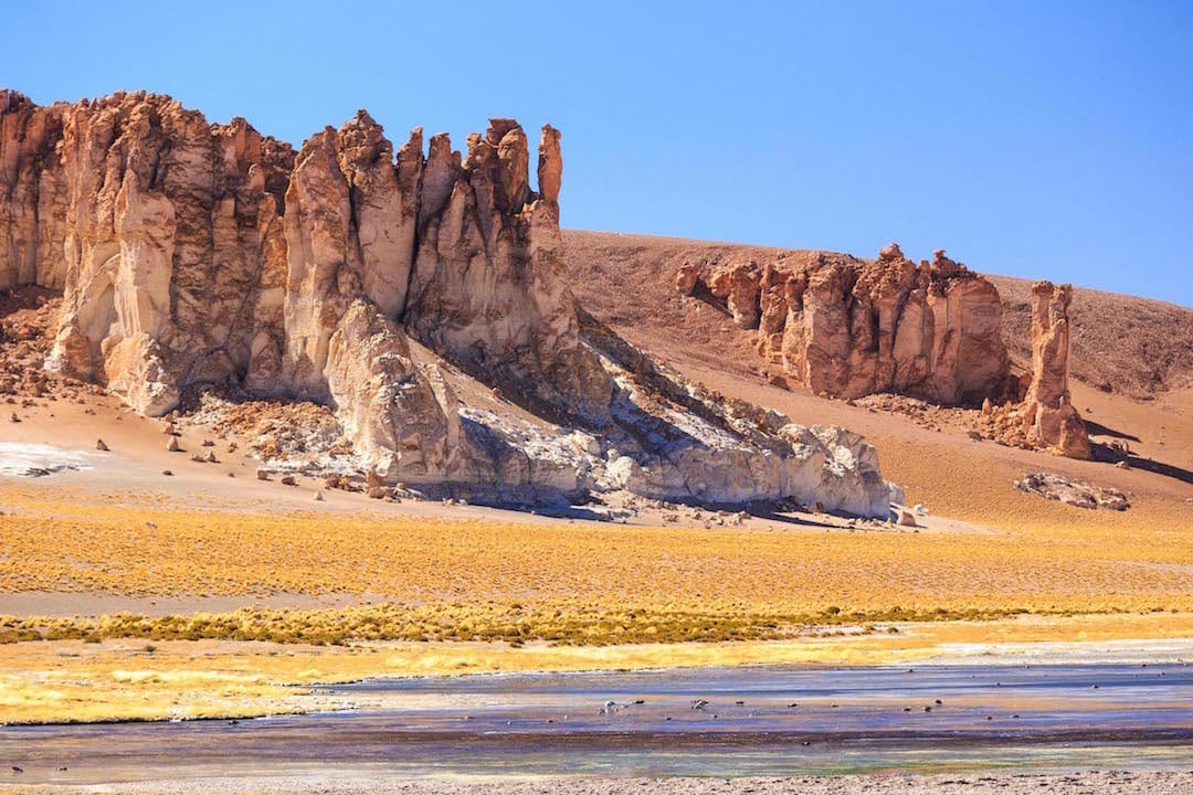 Tara Salt and Centinelas of Pakana