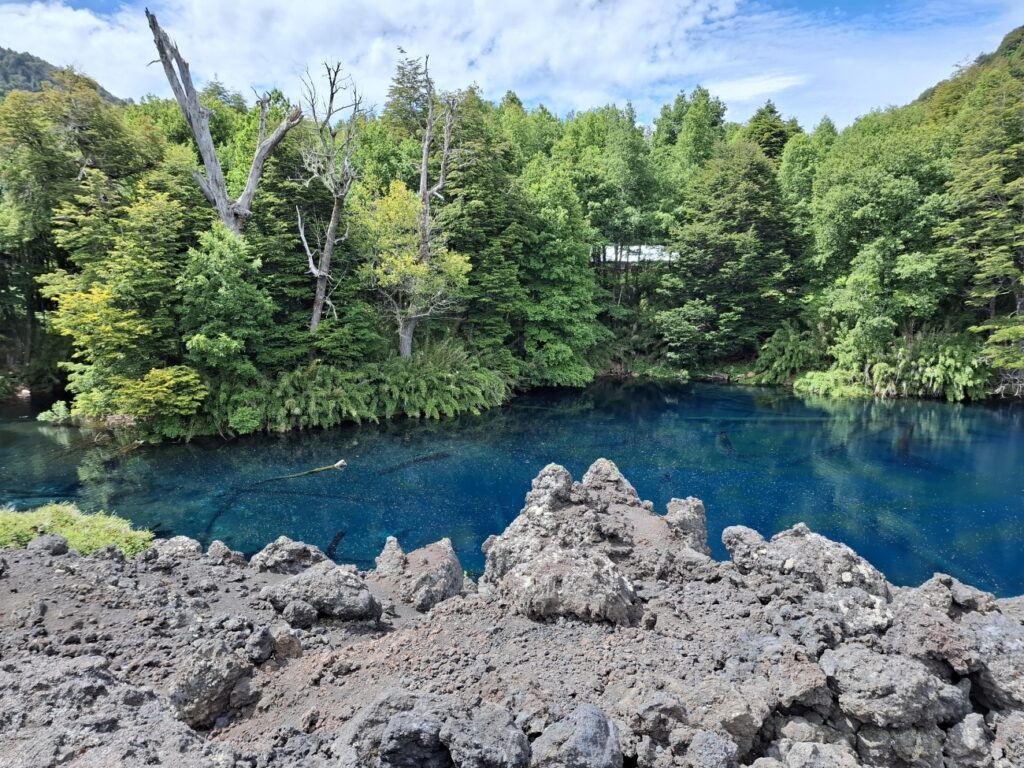 Conguillio National Park A Natural Paradise In The Heart Of Chile conguillio-national-park-a-natural-paradise-in-the-heart-of-chile